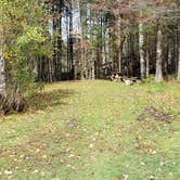 Review photo of Buck Rub's Hidden Acres Campground by Jean C., March 3, 2021