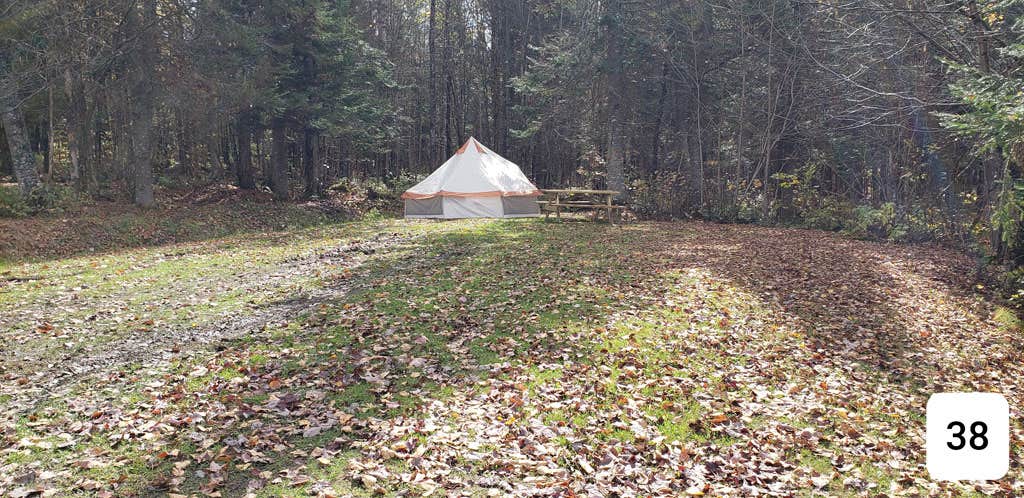 Jean C.'s photo at Buck Rub's Hidden Acres Campground near Colebrook, NH