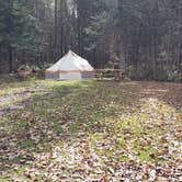 Review photo of Buck Rub's Hidden Acres Campground by Jean C., March 3, 2021