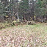 Review photo of Buck Rub's Hidden Acres Campground by Jean C., March 3, 2021