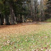 Review photo of Buck Rub's Hidden Acres Campground by Jean C., March 3, 2021