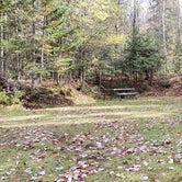 Review photo of Buck Rub's Hidden Acres Campground by Jean C., March 3, 2021