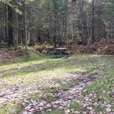 Review photo of Buck Rub's Hidden Acres Campground by Jean C., March 3, 2021