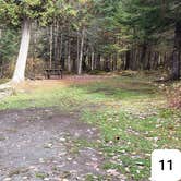 Review photo of Buck Rub's Hidden Acres Campground by Jean C., March 3, 2021