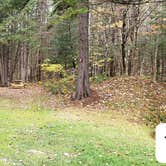 Review photo of Buck Rub's Hidden Acres Campground by Jean C., March 3, 2021