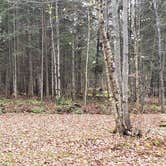 Review photo of Buck Rub's Hidden Acres Campground by Jean C., March 3, 2021