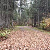 Review photo of Buck Rub's Hidden Acres Campground by Jean C., March 3, 2021