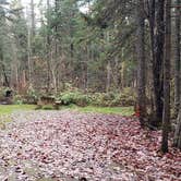 Review photo of Buck Rub's Hidden Acres Campground by Jean C., March 3, 2021