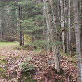 Review photo of Buck Rub's Hidden Acres Campground by Jean C., March 3, 2021