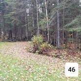 Review photo of Buck Rub's Hidden Acres Campground by Jean C., March 3, 2021