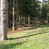 Review photo of Buck Rub's Hidden Acres Campground by Jean C., March 3, 2021