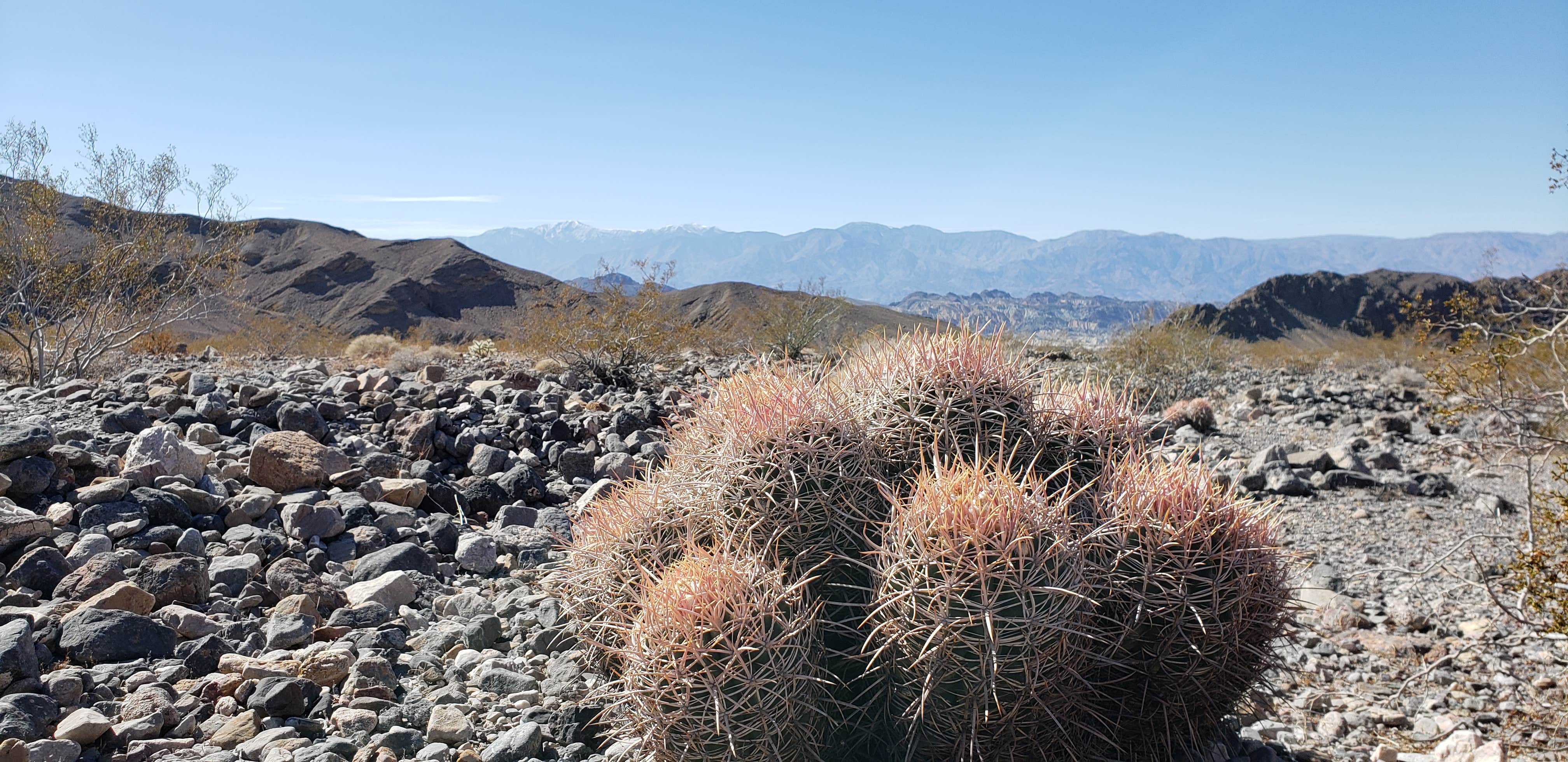 Camper submitted image from Hole in the Wall Backcountry Sites — Death Valley National Park - 3