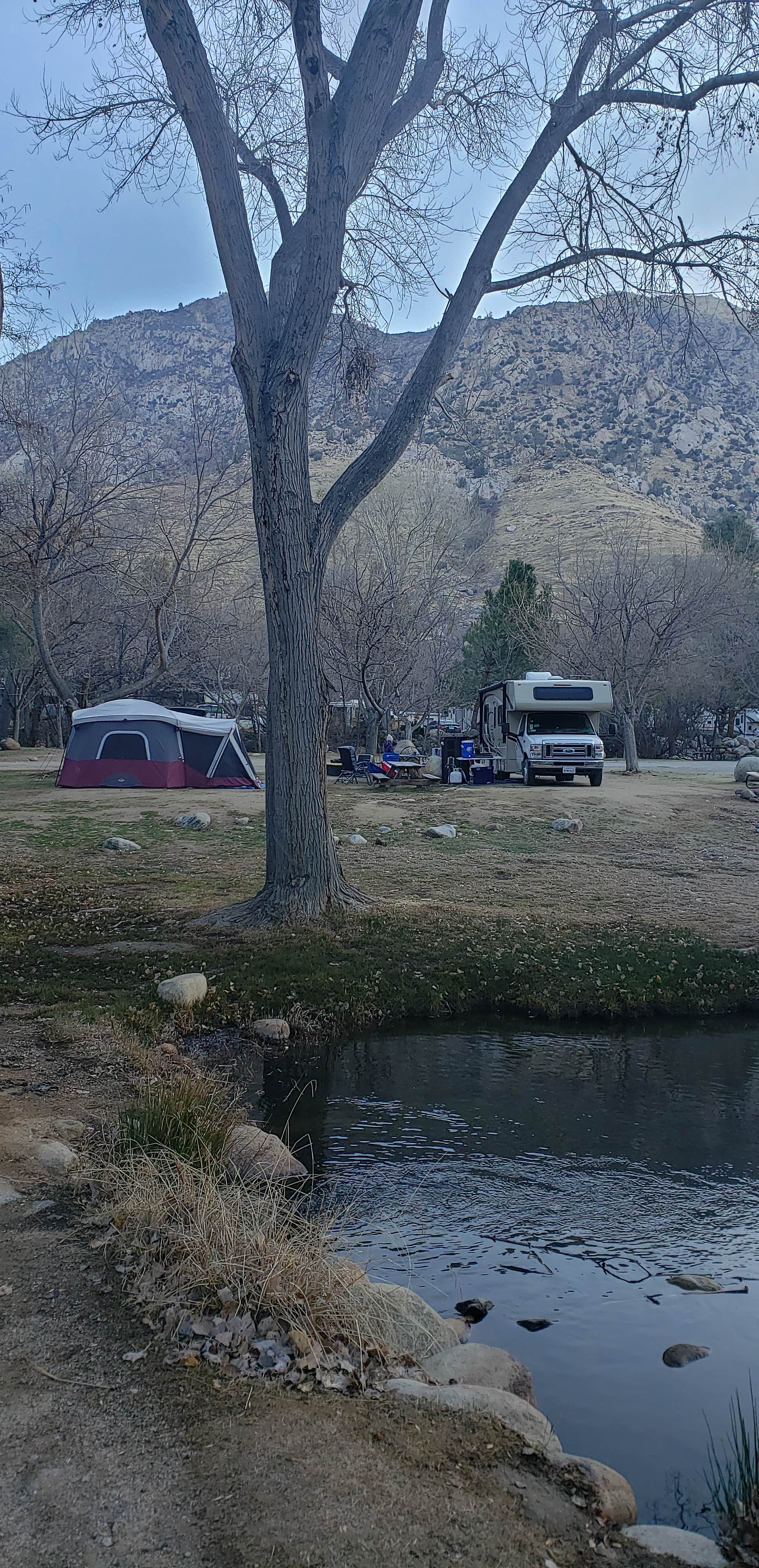 Camper submitted image from Rivernook Campground - 1