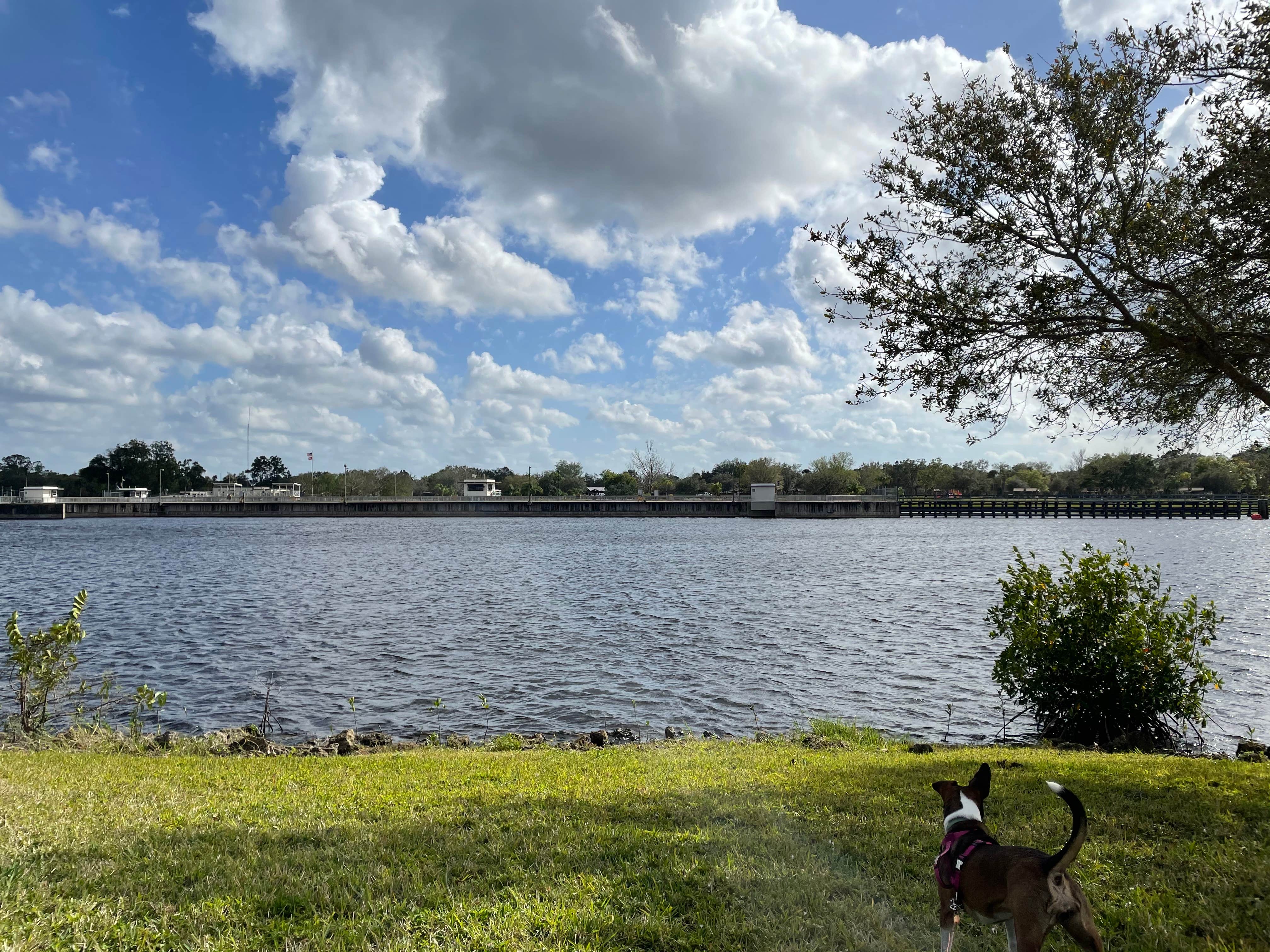 Denise's photo of camping with pets at W.P. Franklin N near Captiva, FL
