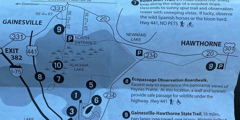 Camper submitted image from Paynes Prairie Preserve State Park Campground