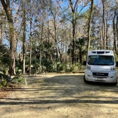 Review photo of Paynes Prairie Preserve State Park Campground by Denise , March 3, 2021