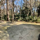 Review photo of Paynes Prairie Preserve State Park Campground by Denise , March 3, 2021