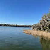 Review photo of Paynes Prairie Preserve State Park Campground by Denise , March 3, 2021