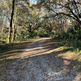 Review photo of Paynes Prairie Preserve State Park Campground by Denise , March 3, 2021