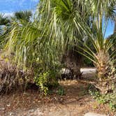 Review photo of Koreshan State Park Campground by Denise , March 3, 2021