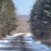 Review photo of East Otto State Forest by Backpacken P., March 3, 2021