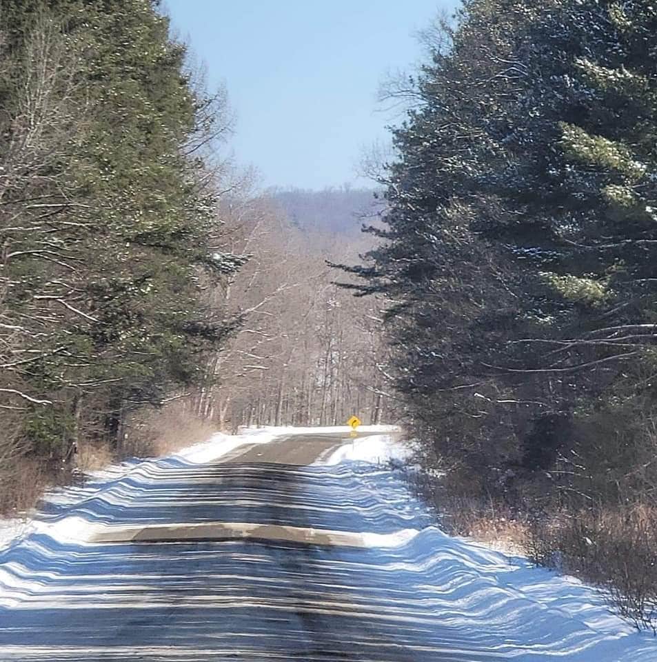 Camper submitted image from East Otto State Forest - 3