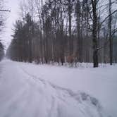 Review photo of East Otto State Forest by Backpacken P., March 3, 2021