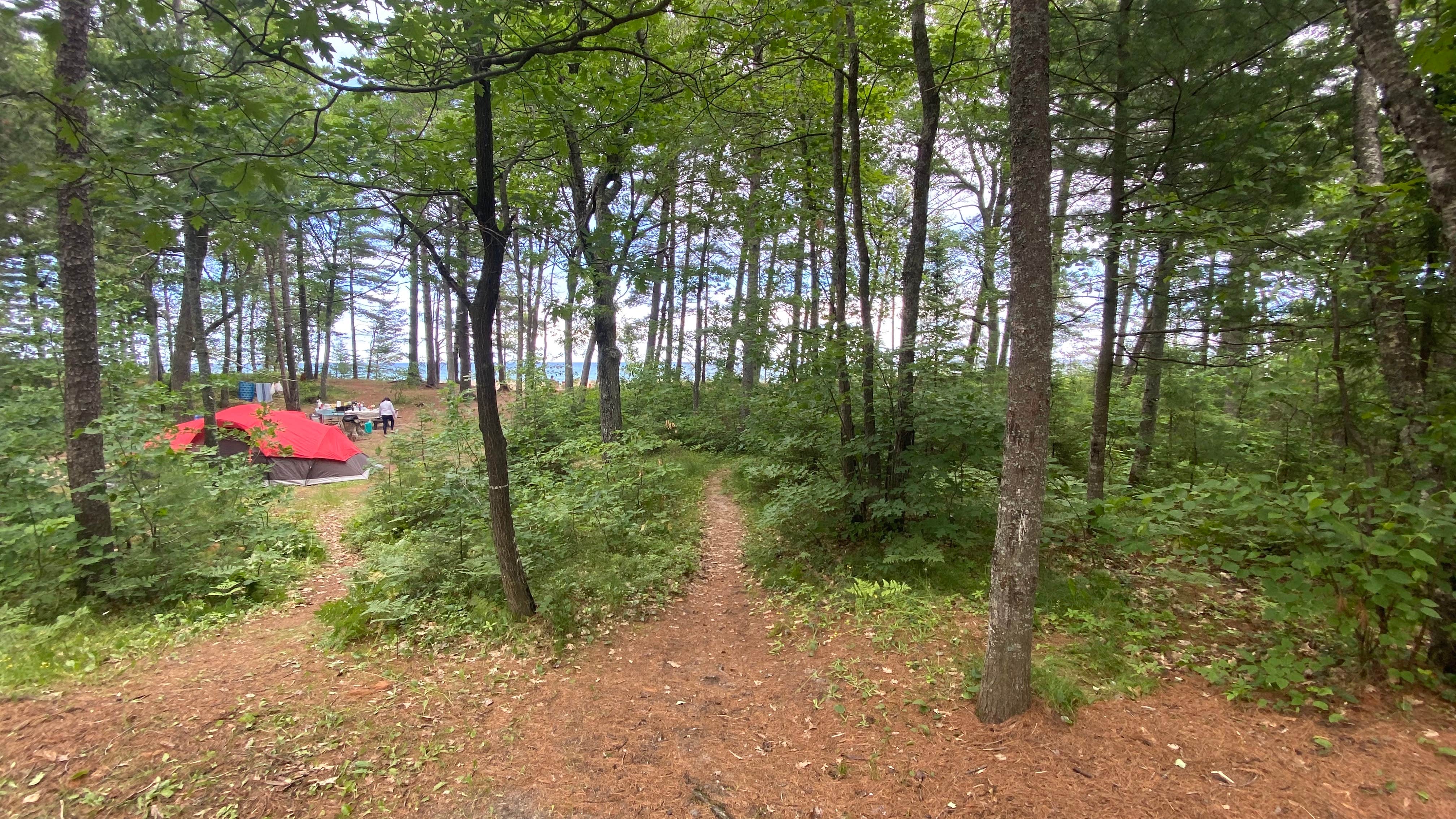 Brook W.'s photo of tent camping at Lake Superior State Forest Campground near Pictured Rocks National Park