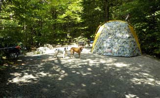Sarah C.'s photo at Basin Campground near North Waterford, ME