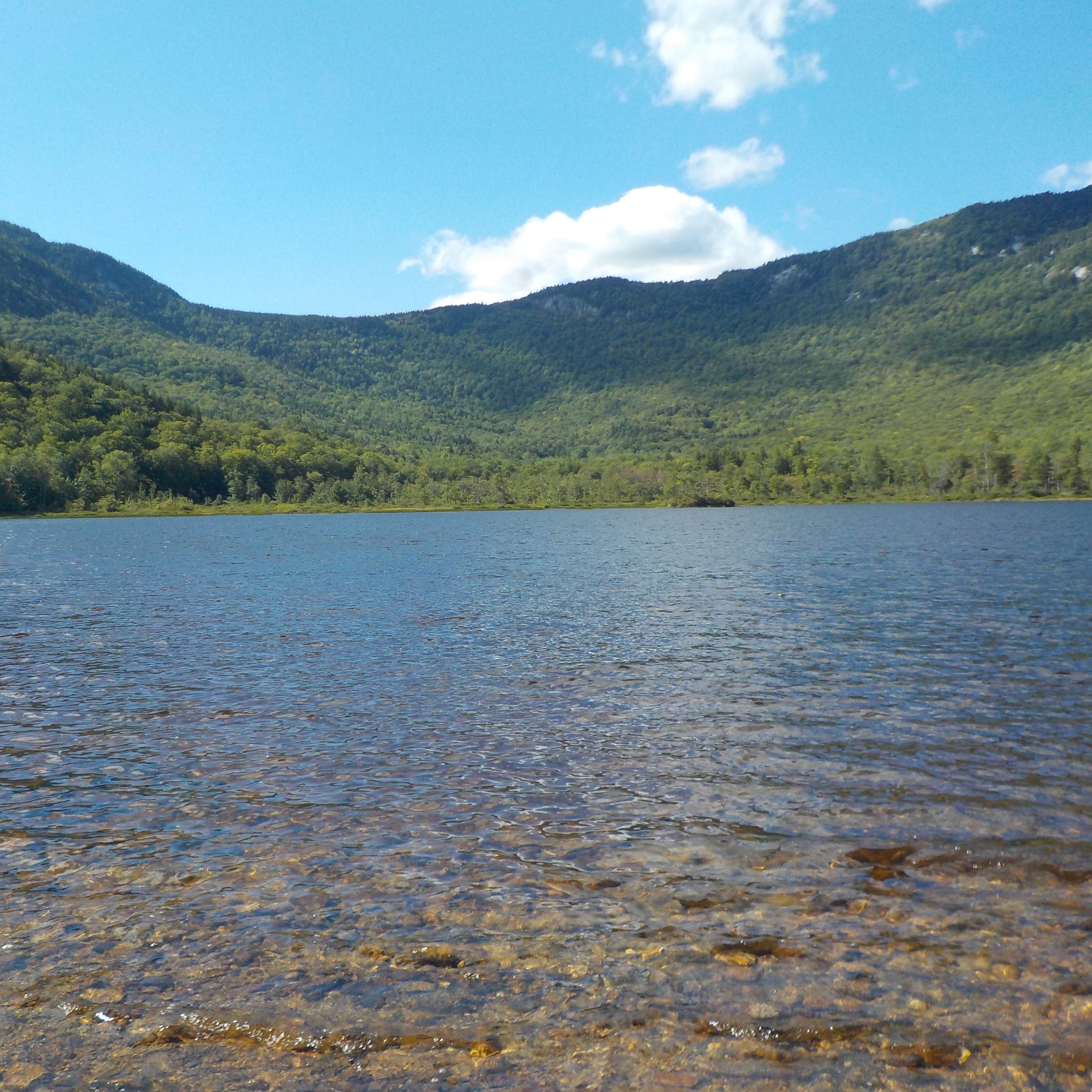 are dogs allowed at the basin nh