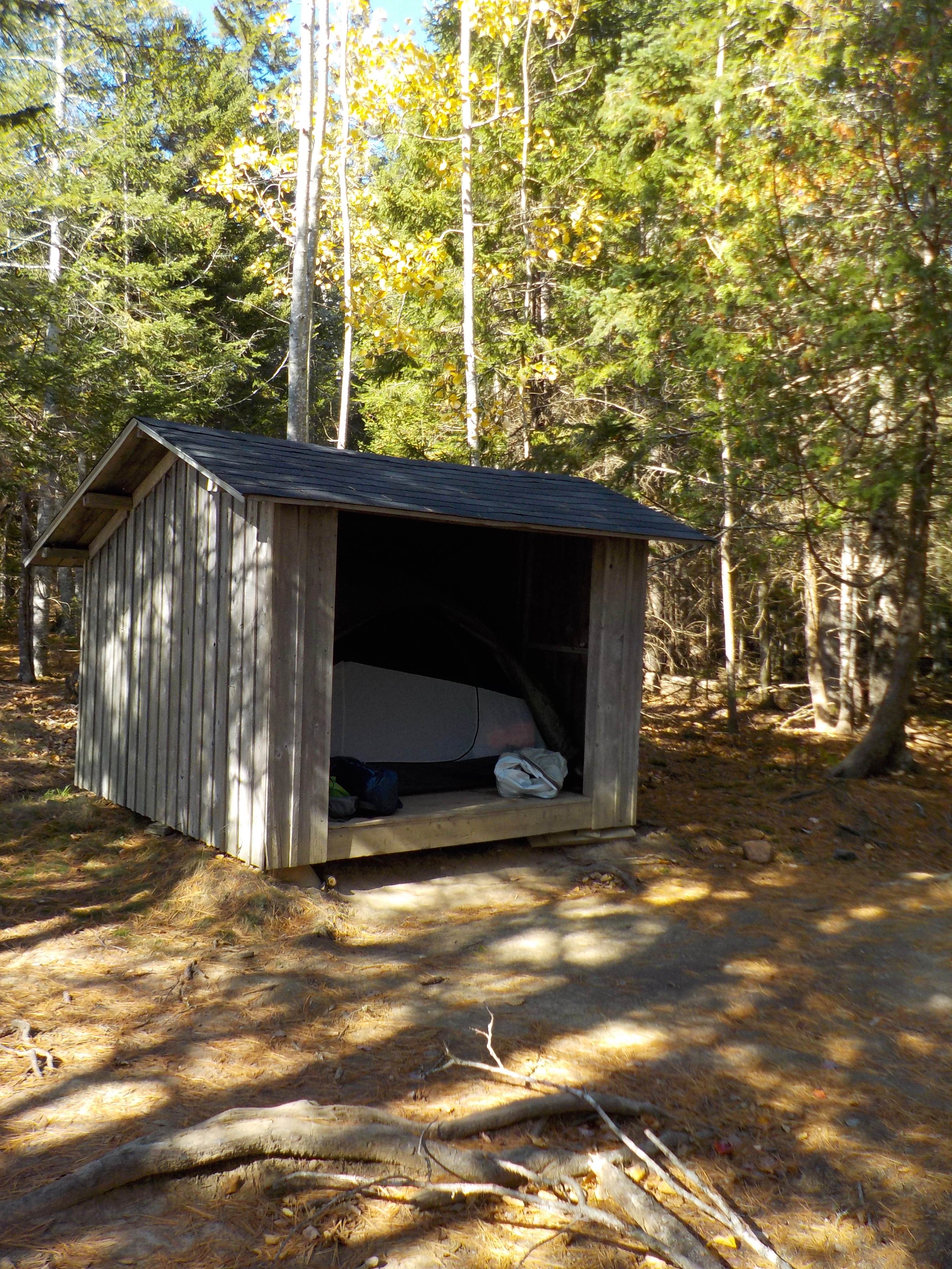 Camper submitted image from Cobscook Bay State Park - 1