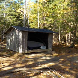 Cobscook Bay State Park