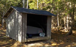 Sarah C.'s photo of glamping accommodations at Cobscook Bay State Park Campground near Eastport, ME