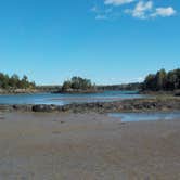 Review photo of Cobscook Bay State Park by Sarah C., March 3, 2021