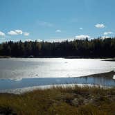 Review photo of Cobscook Bay State Park by Sarah C., March 3, 2021