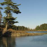 Review photo of Cobscook Bay State Park by Sarah C., March 3, 2021