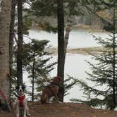 Review photo of Cobscook Bay State Park by Sarah C., March 3, 2021