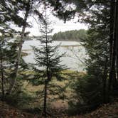 Review photo of Cobscook Bay State Park by Sarah C., March 3, 2021