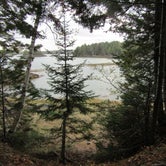 Review photo of Cobscook Bay State Park Campground by Sarah C., March 3, 2021