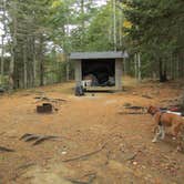 Review photo of Cobscook Bay State Park by Sarah C., March 3, 2021