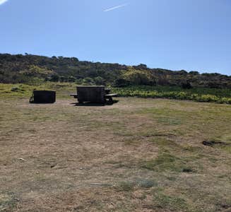 Camper-submitted photo from Del Valle Regional Park