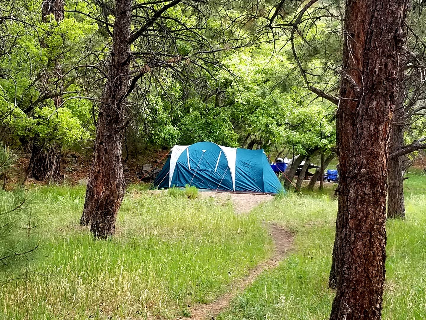 Camper submitted image from Mitt Moody Campground - 3
