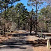 Review photo of Winding Stair Campground (Ok) — Ouachita National Forest by Neil T., March 3, 2021