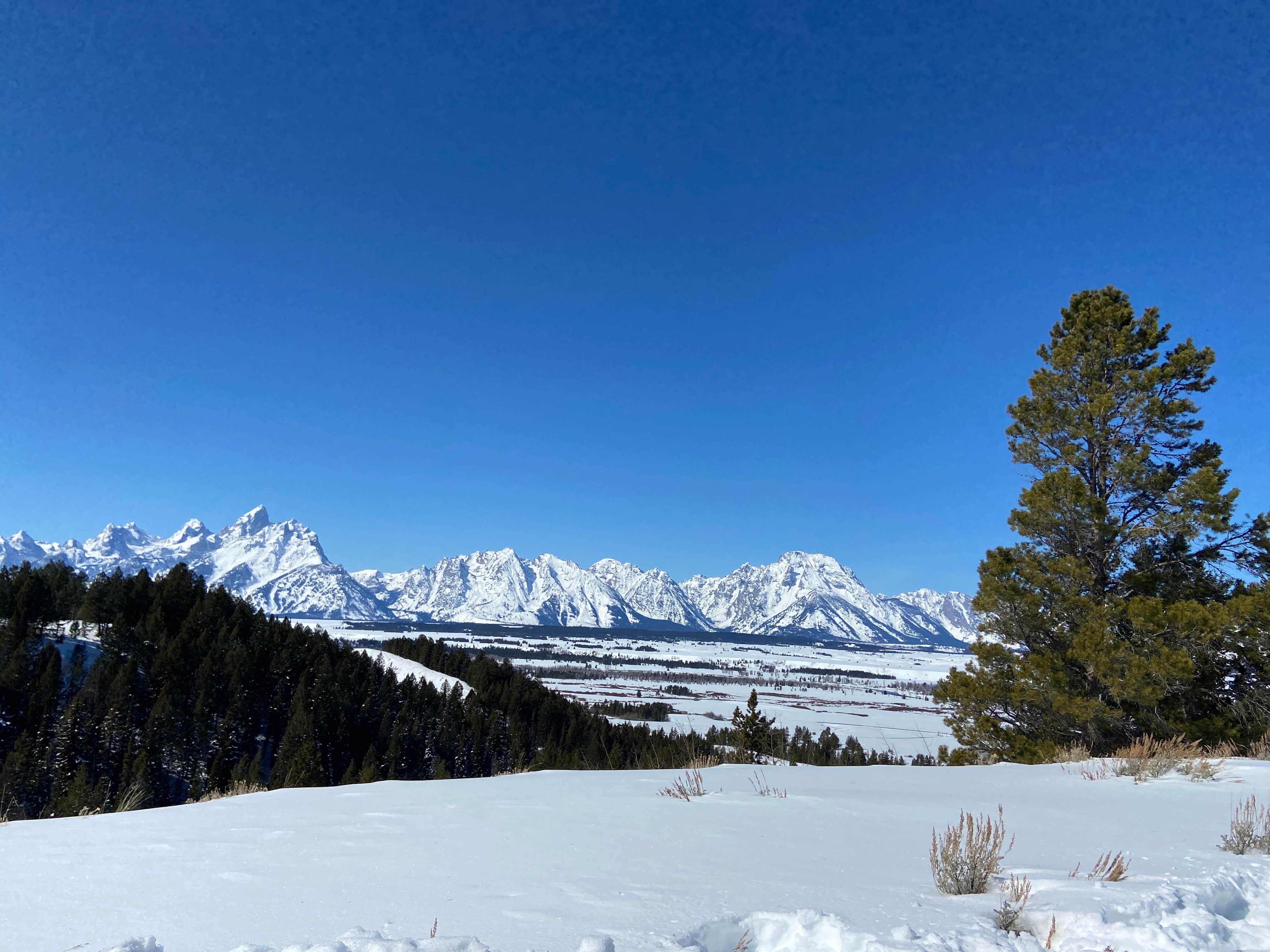 Camper submitted image from Dave’s Site By Grand Teton - 1