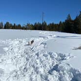 Review photo of Dave’s Site By Grand Teton by abigail , March 3, 2021