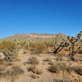 Review photo of Usery Mountain Regional Park by Bob L., March 3, 2021