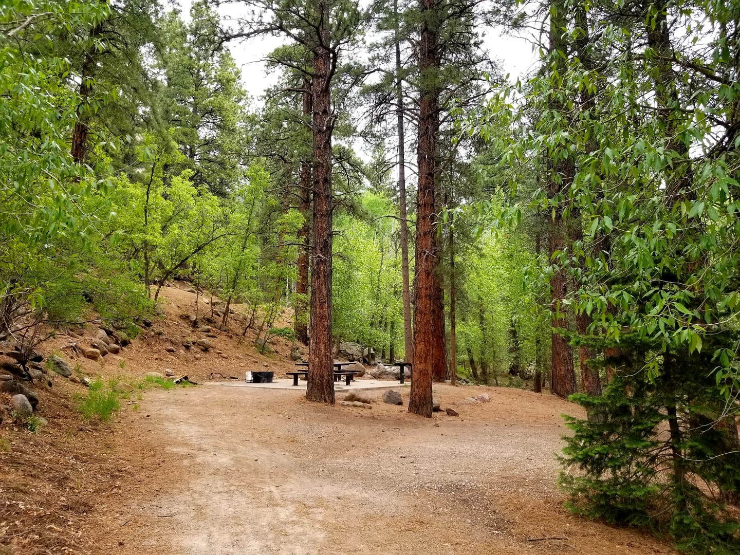 Camper-submitted photo at Mitt Moody Campground near Veyo, UT