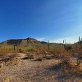 Review photo of Usery Mountain Regional Park by Bob L., March 3, 2021