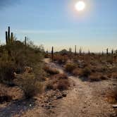 Review photo of Usery Mountain Regional Park by Bob L., March 3, 2021