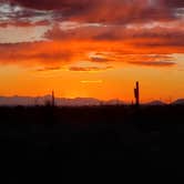 Review photo of Lost Dutchman State Park Campground by Bob L., March 3, 2021